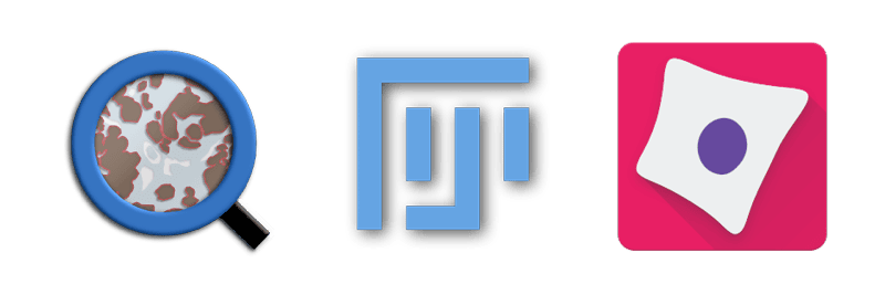 Article Software Image Image Analysis Workshop for Open-Source Software - Translational ...
